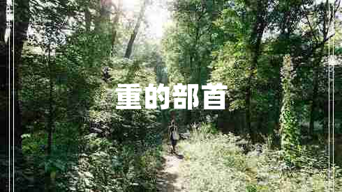 重的部首 重的部首
