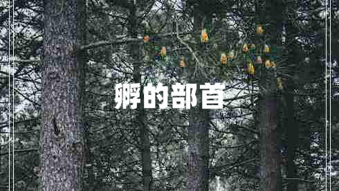 孵的部首 孵的部首