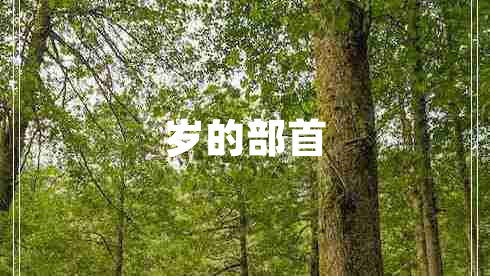 歲的部首 歲的部首