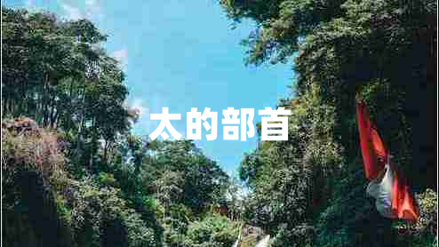 太的部首 太的部首