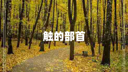 觸的部首 觸的部首