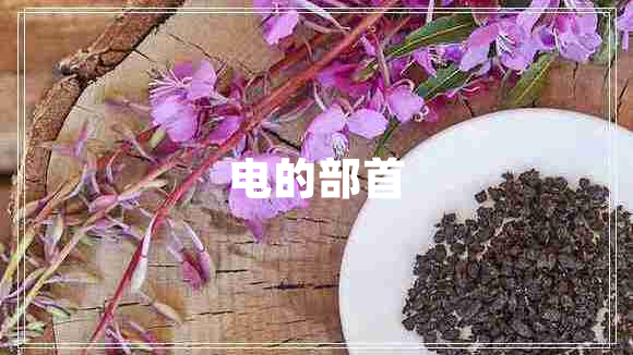 電的部首 電的部首