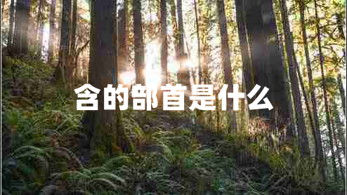 含的部首是什么 含的部首是什么