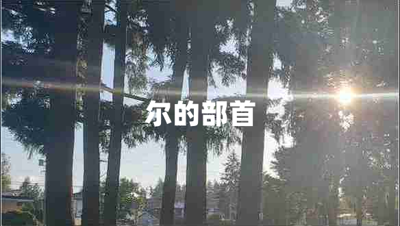 爾的部首 爾的部首