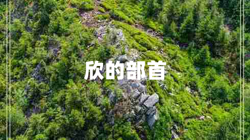 欣的部首 欣的部首