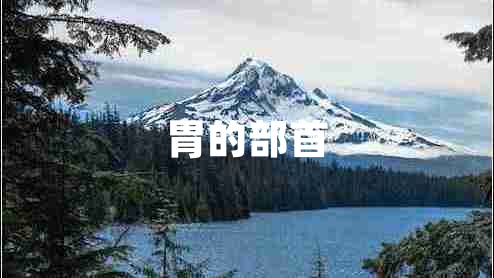 胃的部首 胃的部首