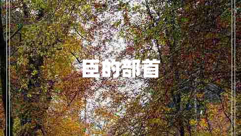 臣的部首 臣的部首