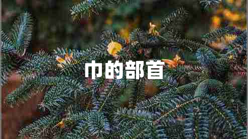 巾的部首 巾的部首