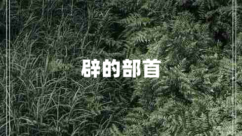 辟的部首 辟的部首