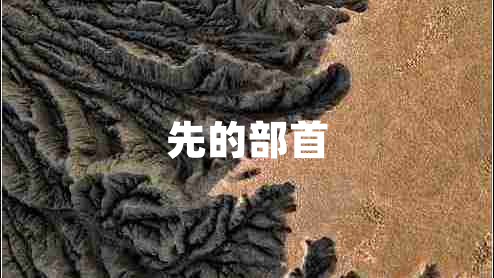 先的部首 先的部首