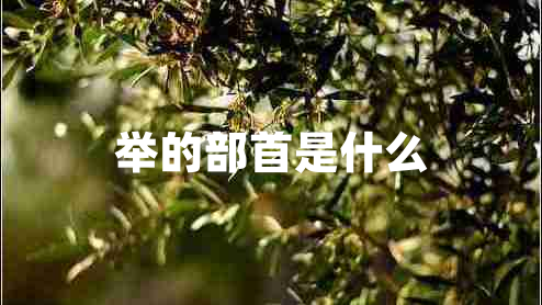 舉的部首是什么