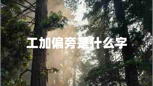 工加偏旁是什么字 工加偏旁是什么字