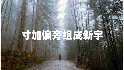 寸加偏旁組成新字