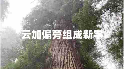 云加偏旁組成新字