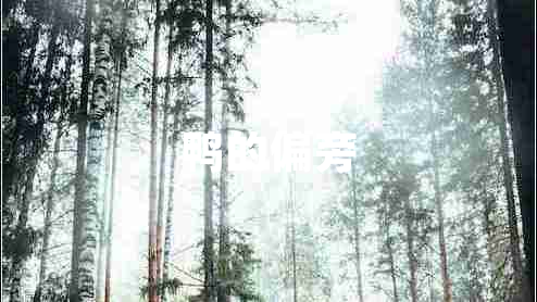 鴨的偏旁 鴨的偏旁