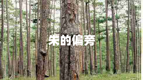 朱的偏旁 朱的偏旁