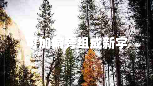 可加偏旁組成新字