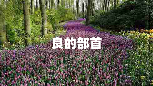 良的部首 良的部首