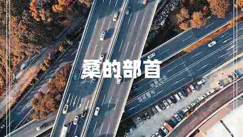 桑的部首 桑的部首