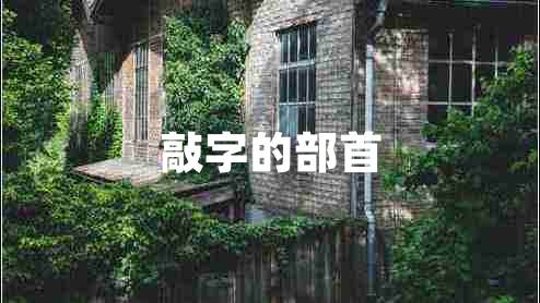 敲字的部首 敲字的部首