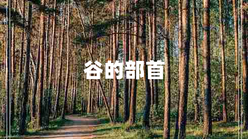 谷的部首