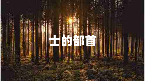 士的部首