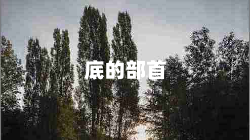 底的部首 底的部首