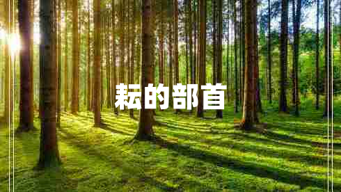 耘的部首 耘的部首