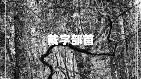 戴字部首 戴字部首