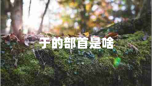于的部首是啥 于的部首是啥