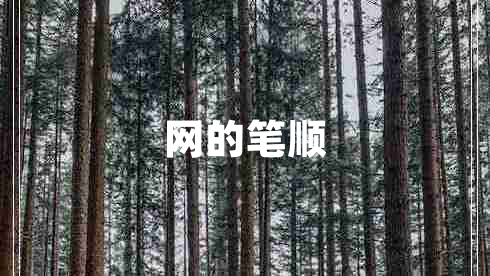 網(wǎng)的筆順