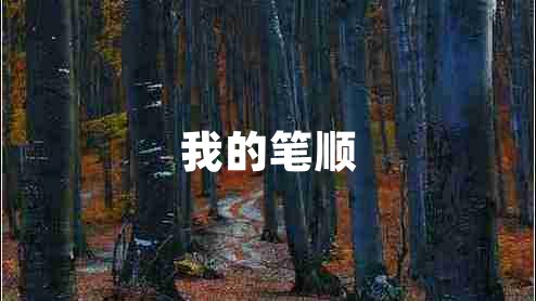 我的筆順