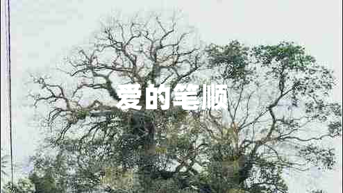 愛(ài)的筆順 愛(ài)的筆順