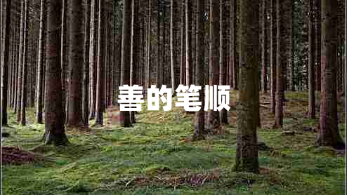 善的筆順 善的筆順