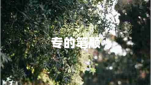 專的筆順 專的筆順