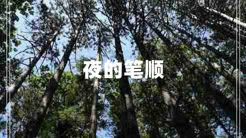 夜的筆順