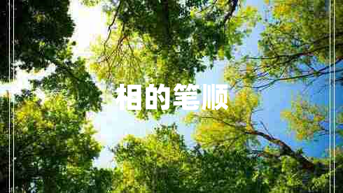 相的筆順 相的筆順