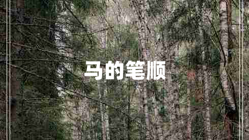 馬的筆順