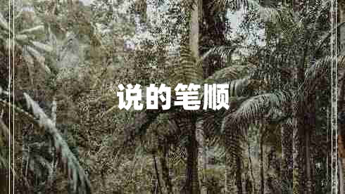 說(shuō)的筆順