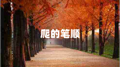 爬的筆順 爬的筆順