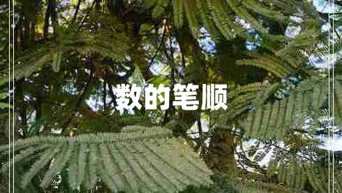 數(shù)的筆順 數(shù)的筆順