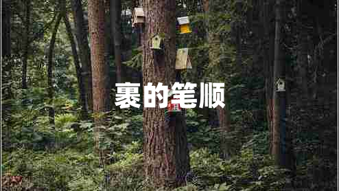 裹的筆順 裹的筆順