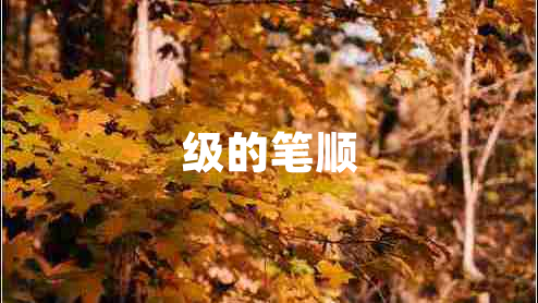 級(jí)的筆順 級(jí)的筆順