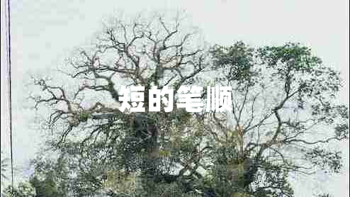 短的筆順 短的筆順