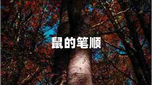 鼠的筆順 鼠的筆順