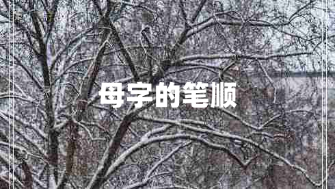 母字的筆順
