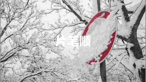 片筆順