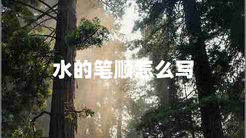水的筆順怎么寫