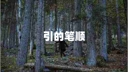 引的筆順 引的筆順