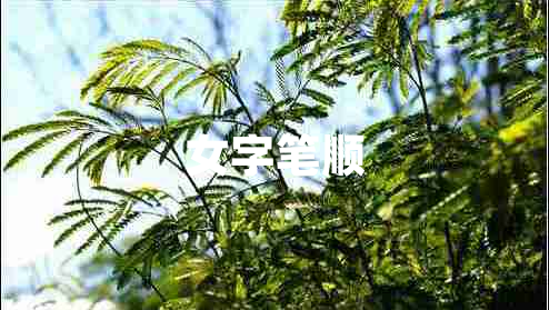 女字筆順